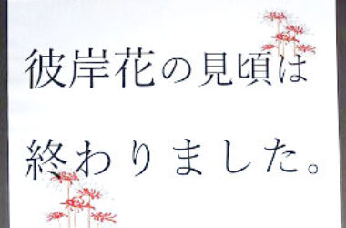 2021年9月23日（木）